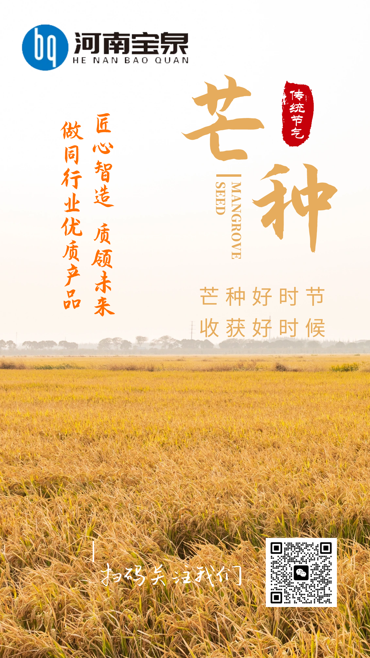 二十四节气/芒种