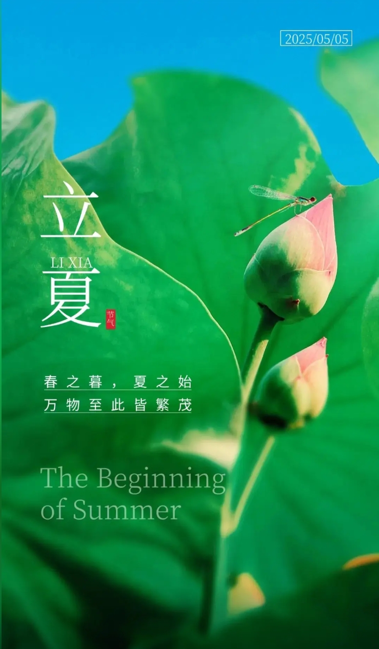 夏始春余，万物并秀(图1)